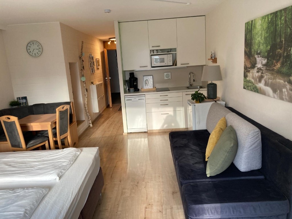 Ferienwohnung in Sankt Englmar: möblierter Wohnraum mit Küche, Essplatz, Sofa und Schlafbereich