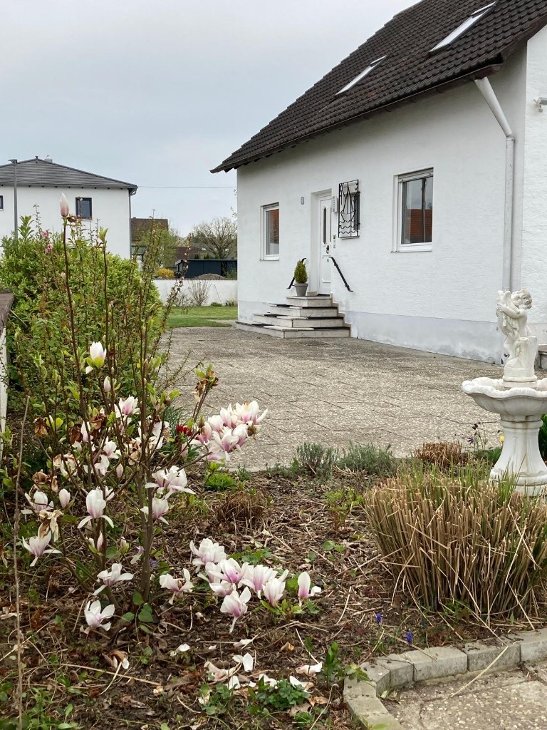 Weißes Einfamilienhaus in Ernsgaden mit Eingang, Vorgarten, Brunnen und blühender Magnolie